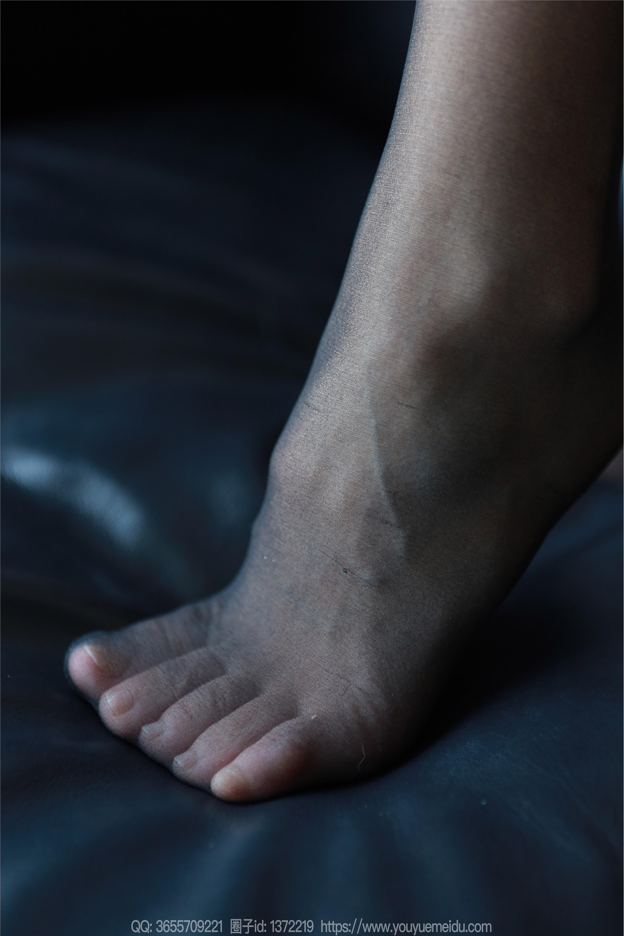 IESS异思趣向  2025.02.26 丝享家 1987 小金《毛绒绒》